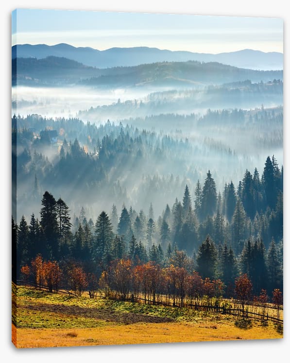 Golden foothills - Image 2
