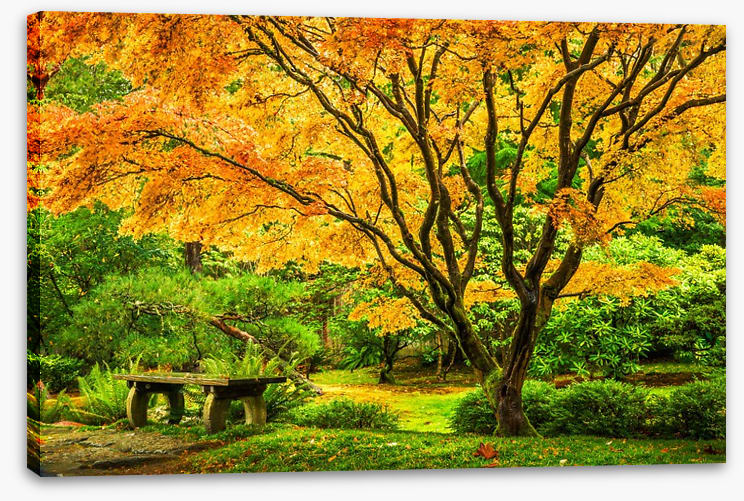 Golden maple bench - Image 2