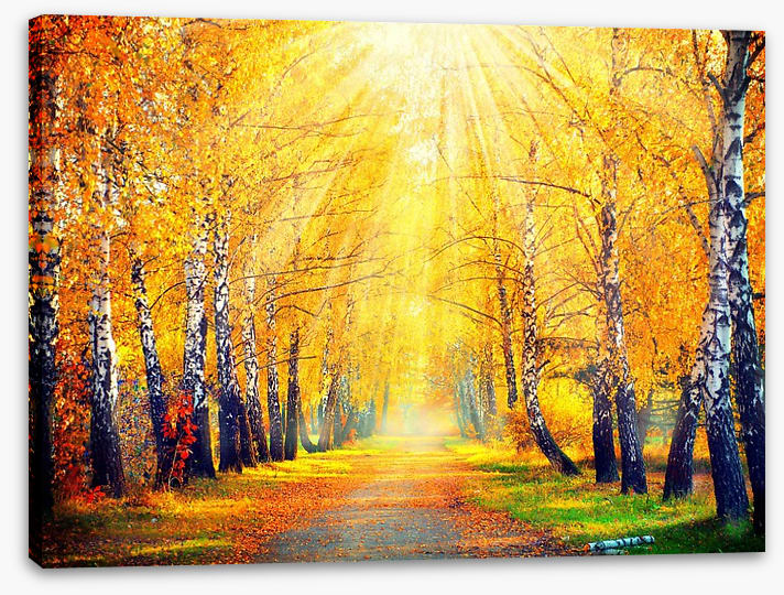 Golden sunbeam path - Image 2