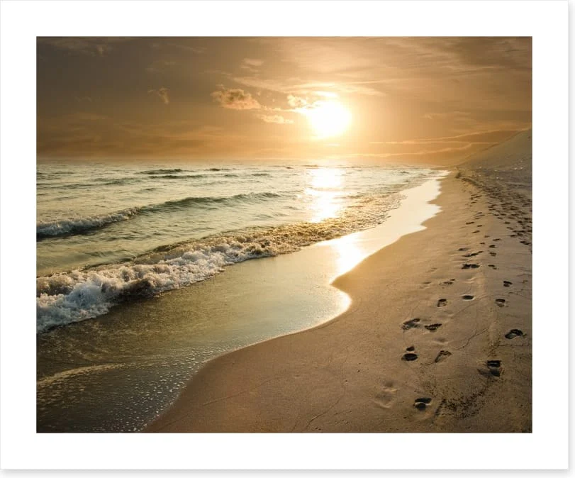 Golden sunset on the shore - Image 2