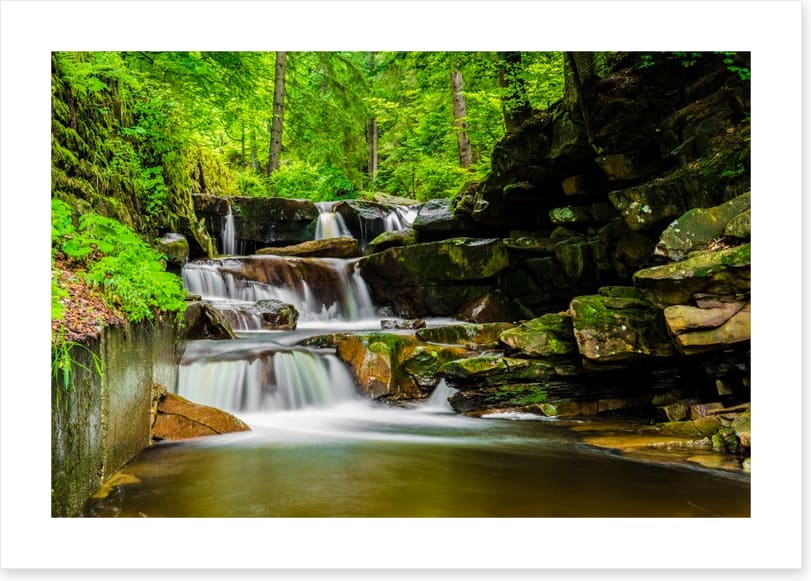 Green forest falls - Image 2