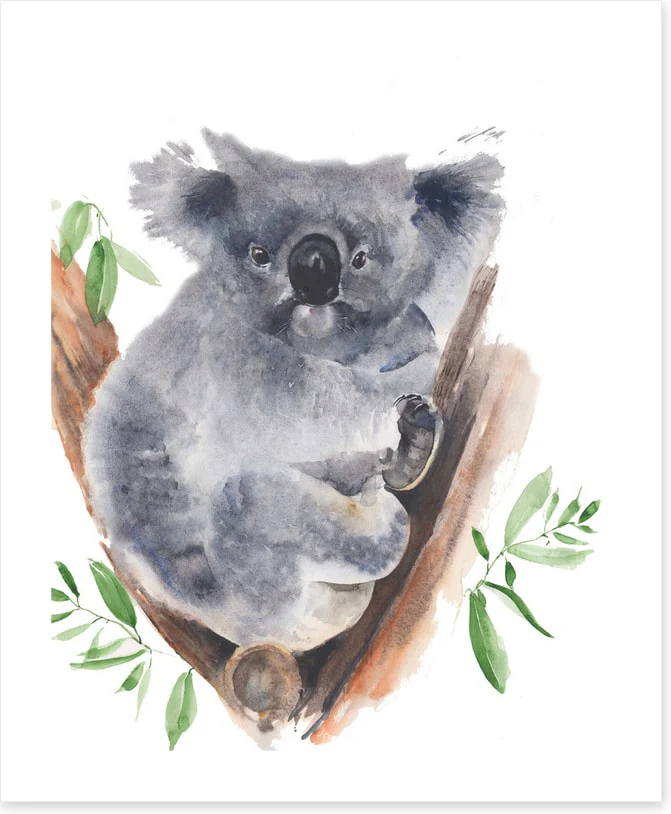 Gum tree koala - Image 2