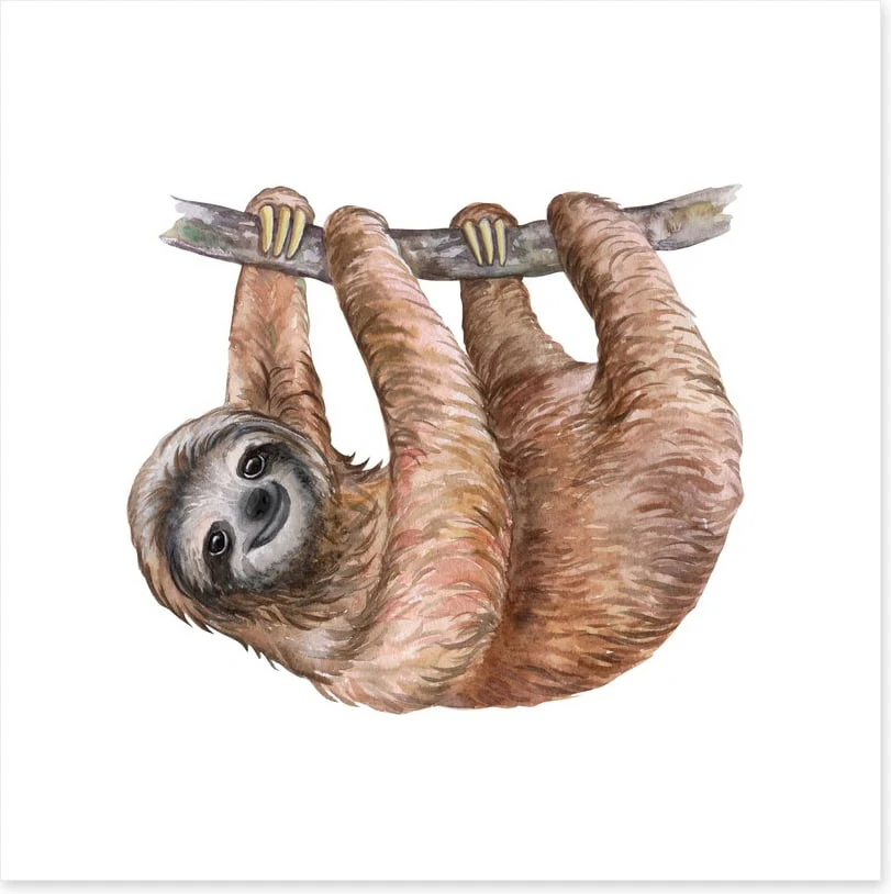 Hanging sloth - Image 2