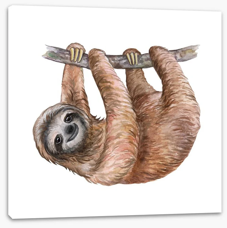 Hanging sloth - Image 2