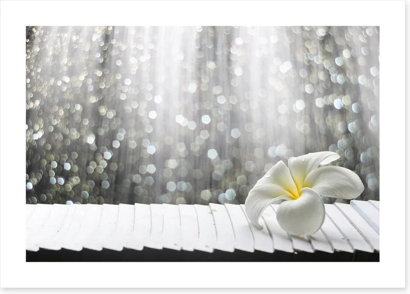 Happiness - Image 2