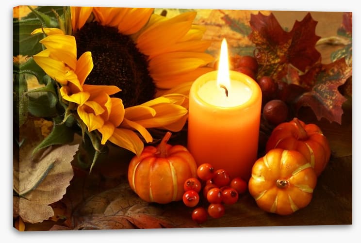 Harvest glow - Image 2
