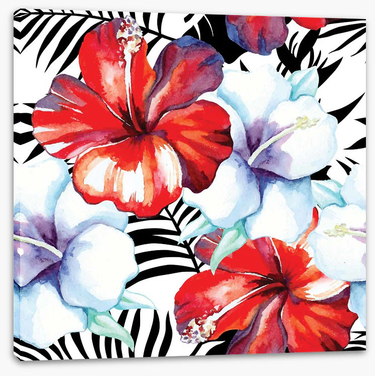 Hibiscus palm - Image 2