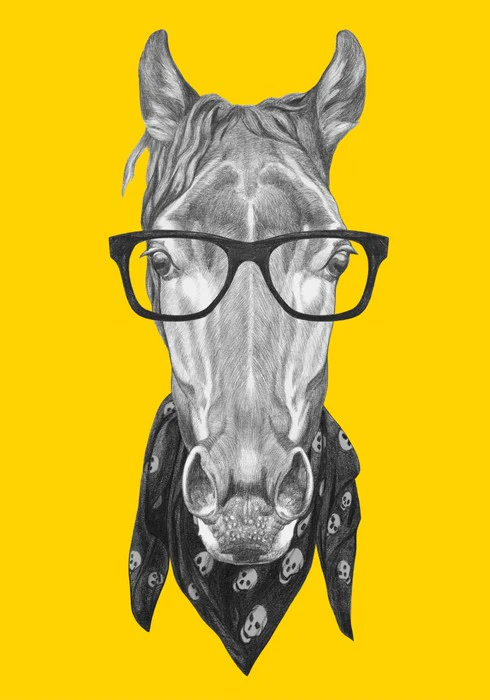 Hipster horse