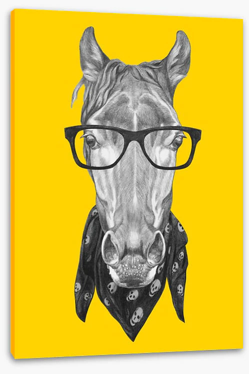 Hipster horse - Image 2
