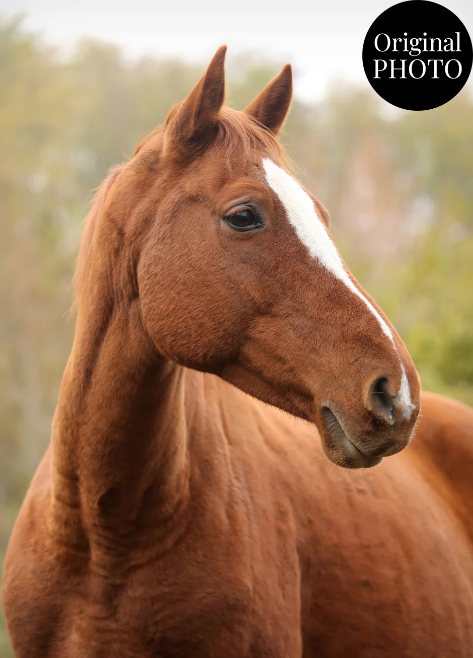 Horse Black & White Artistic Design Custom Portrait | Framed Art Print - Image 3