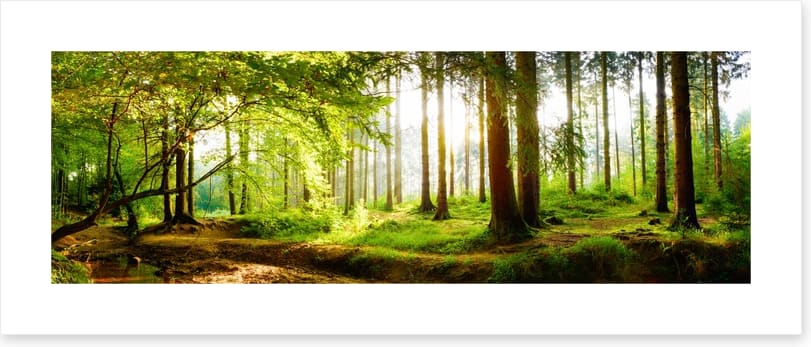Idyll light - Image 2