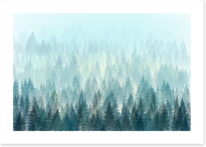 In the misty pines - Image 2