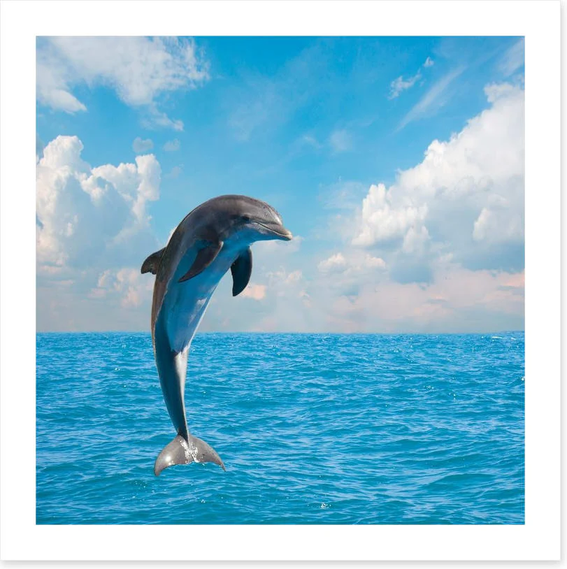 Jumping dolphin - Image 2