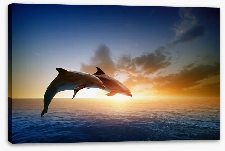 Jumping together - Image 2