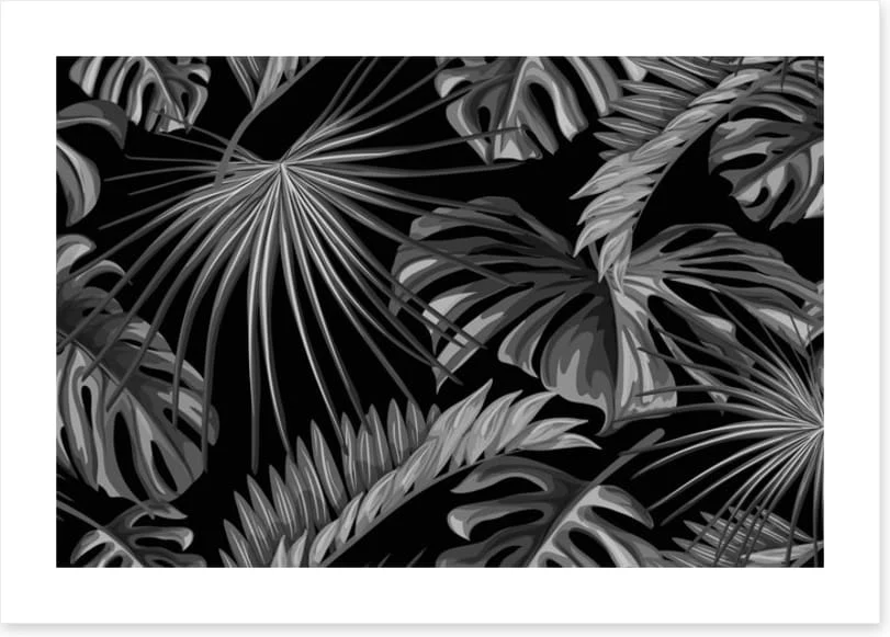 Jungle nights - Image 2