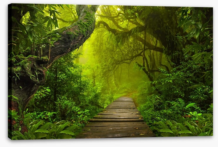 Jungle walk - Image 2