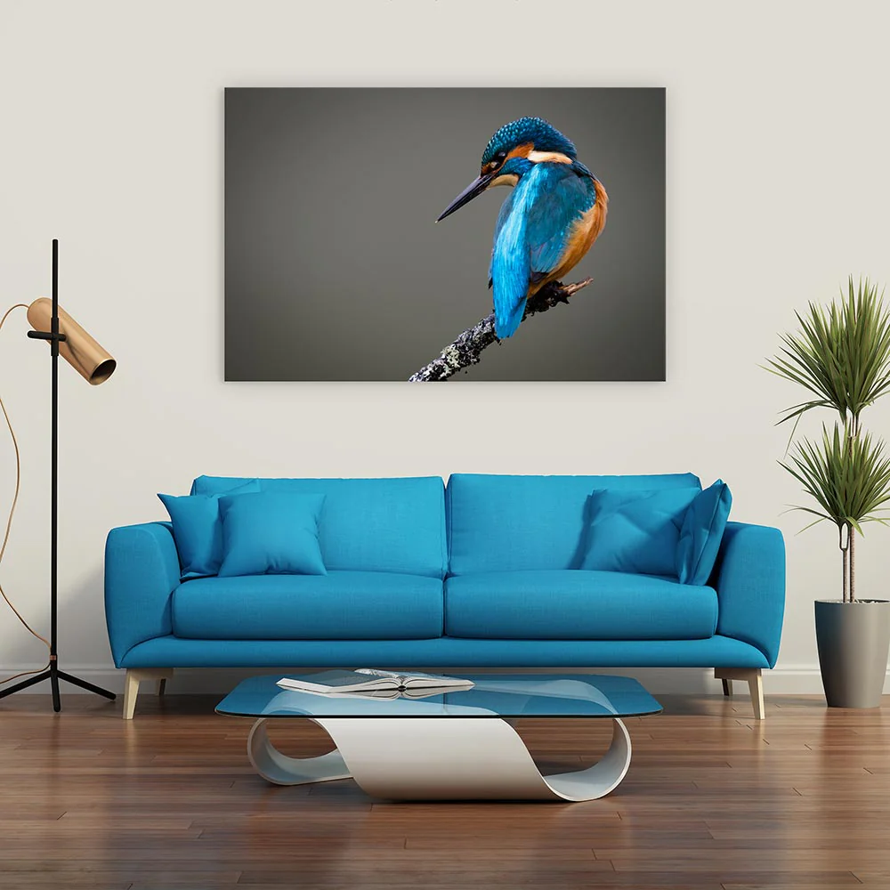 Kingfisher perched - Image 4