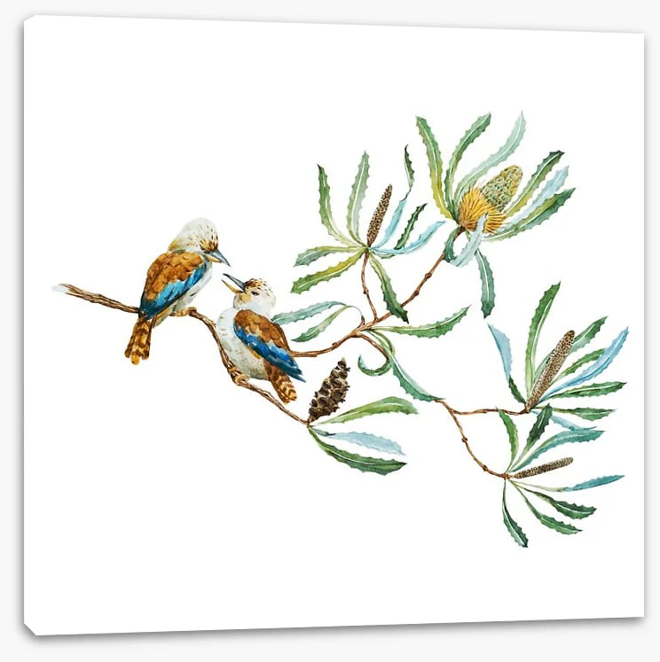 Kookaburra grove - Image 2