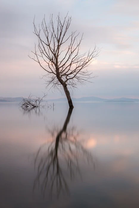 Lady of the lake