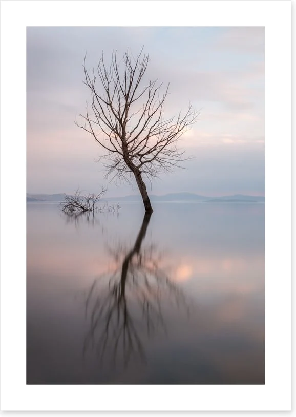 Lady of the lake - Image 2