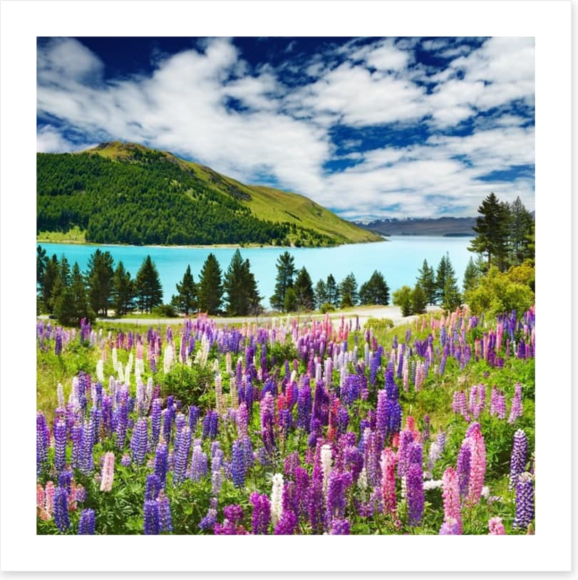 Lake Tekapo, New Zealand - Image 2