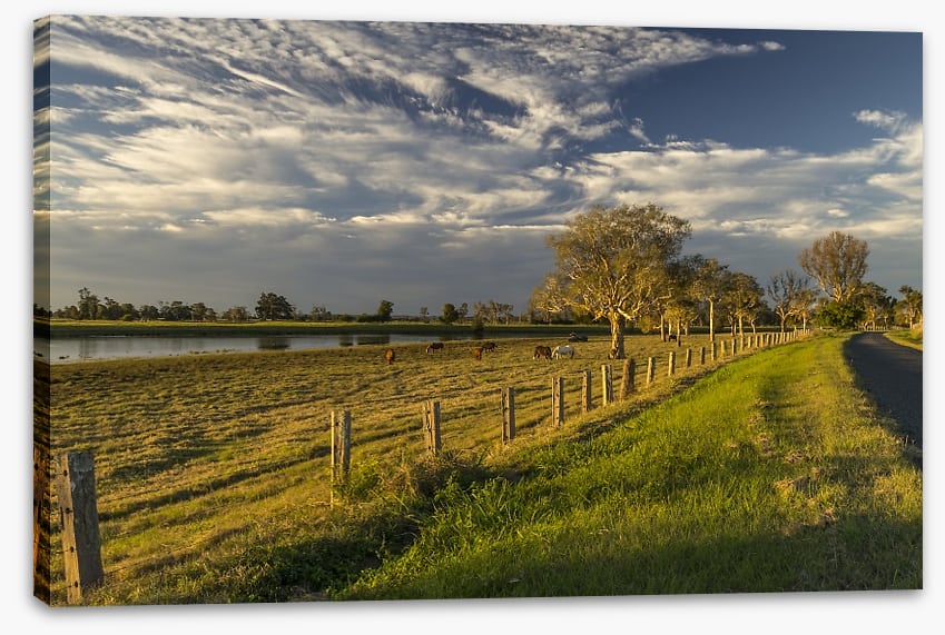 Late light - Image 2