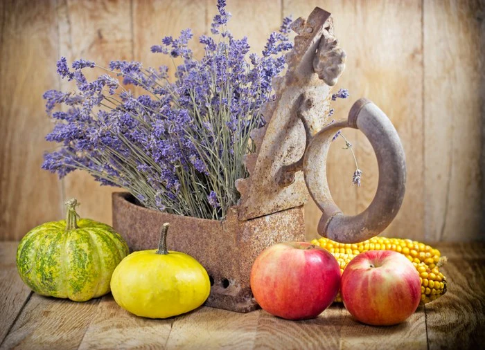 Lavender harvest
