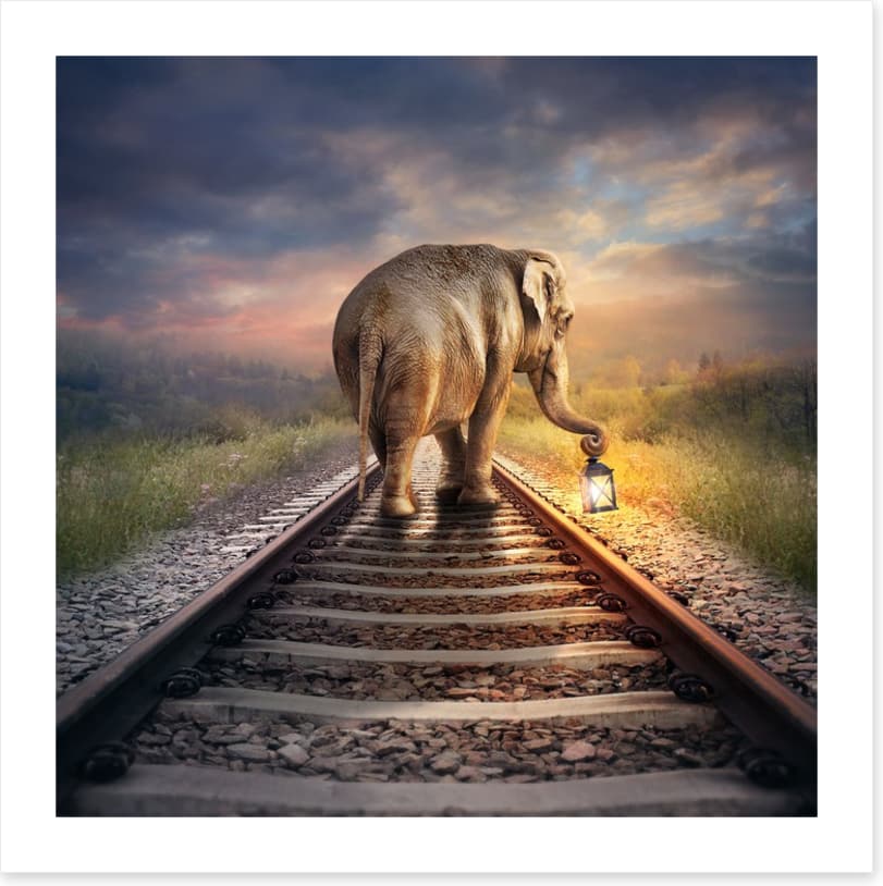 Lead the way - Image 2