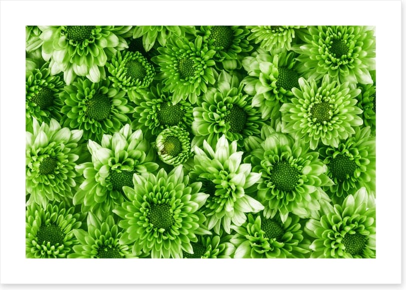 Leafy abundance - Image 2