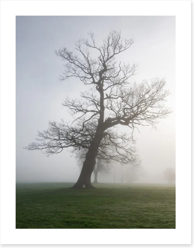 Leaning into the mist - Image 2