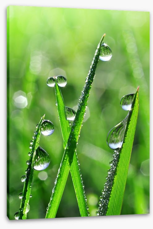 Emerald dew drops - Image 2
