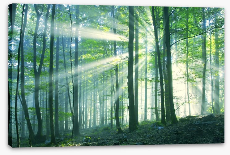 Green leaf light - Image 2