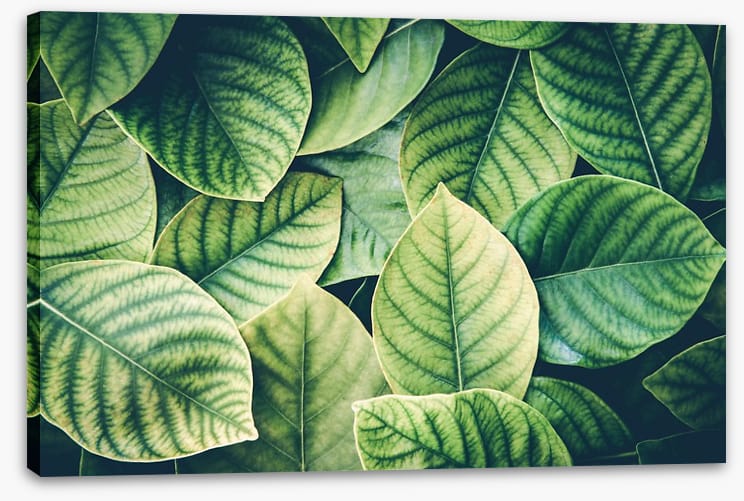 In the leaves - Image 2