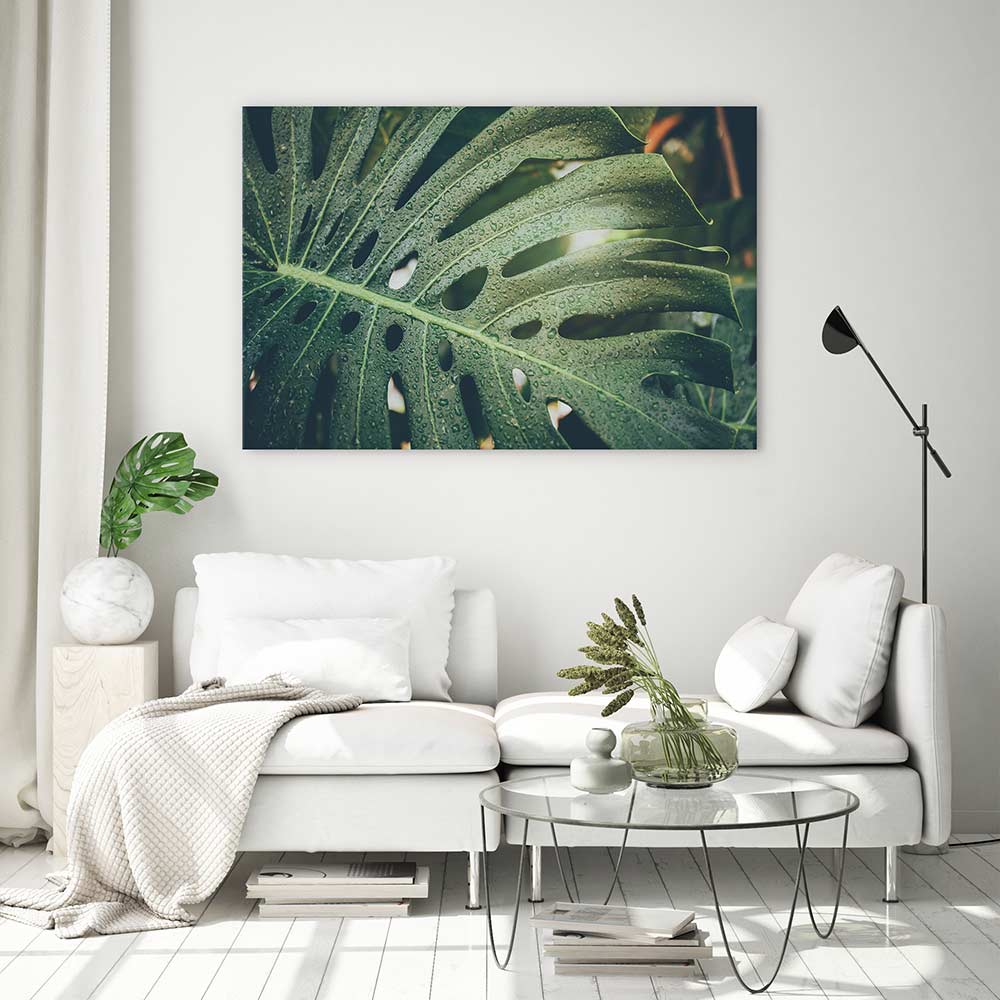 Monstera raindrops - Image 3