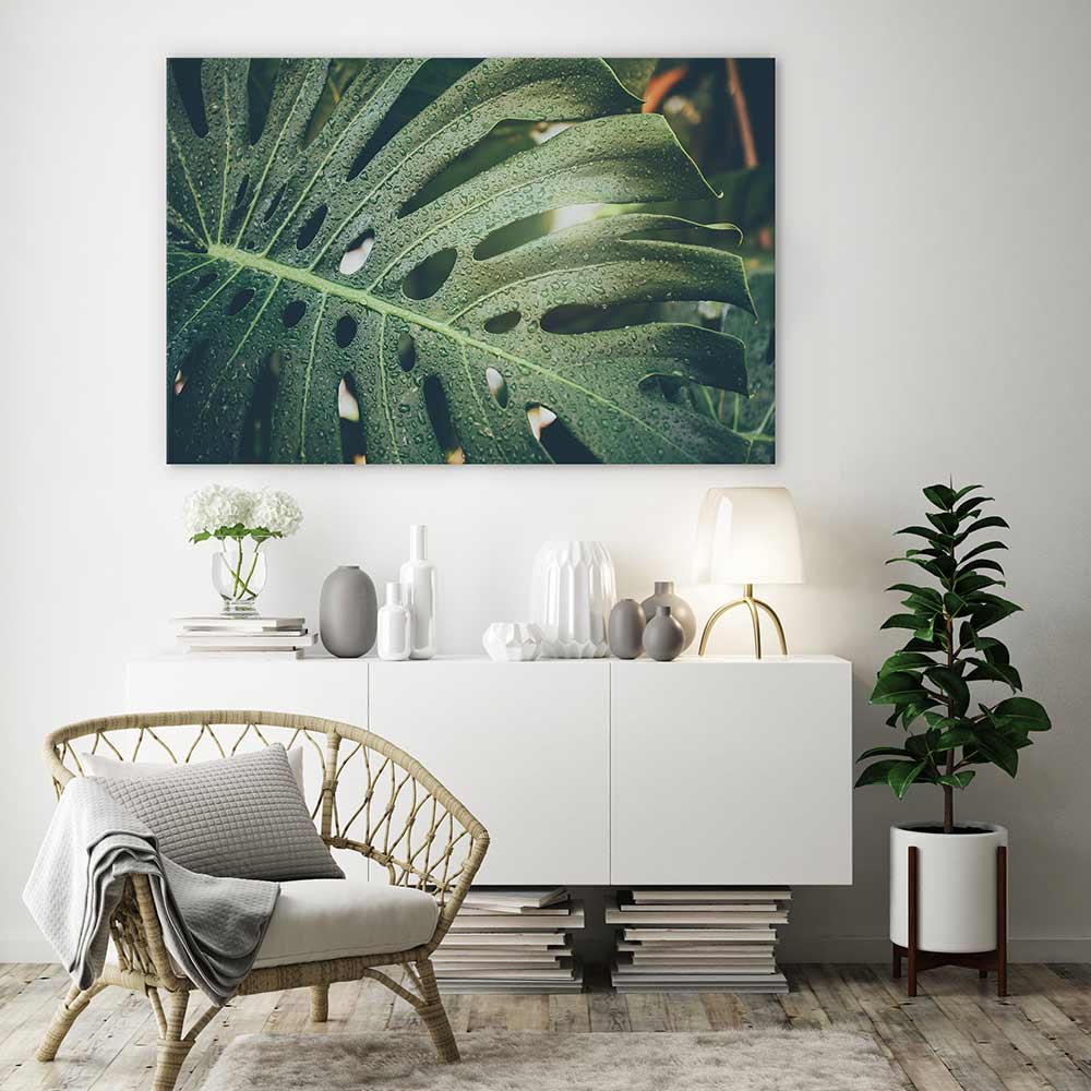 Monstera raindrops - Image 4