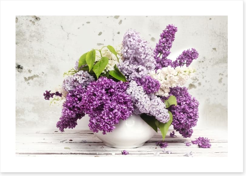 Lilac in the vase - Image 2