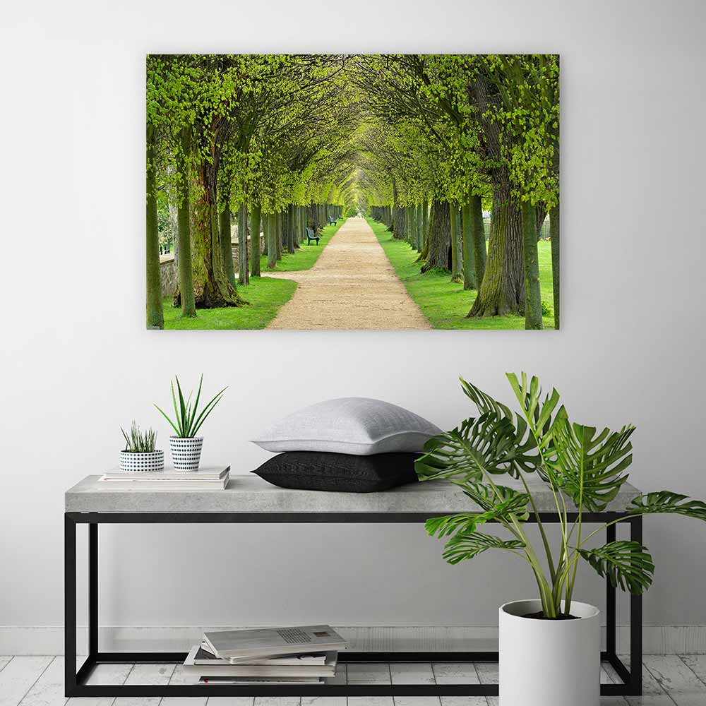 Linden promenade - Image 3