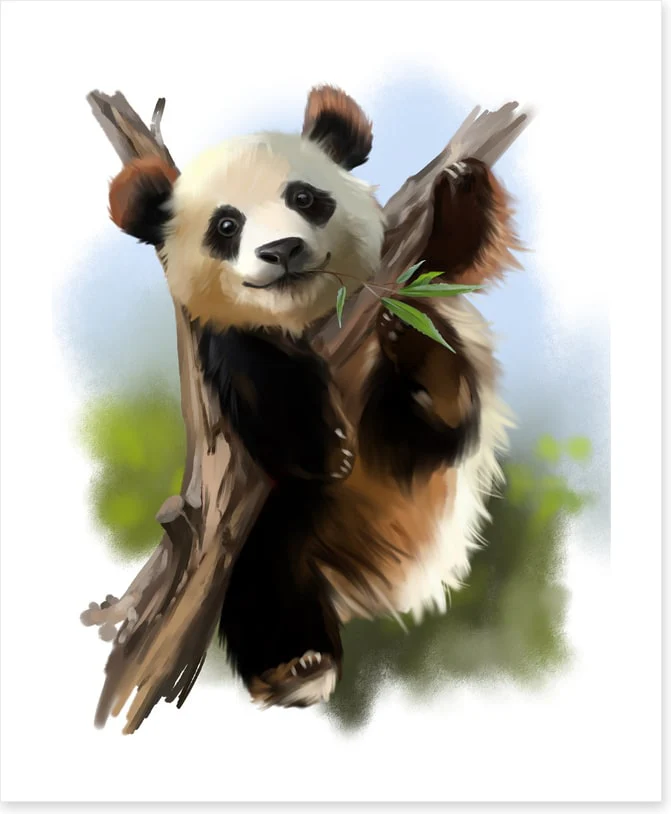 Little giant panda - Image 2