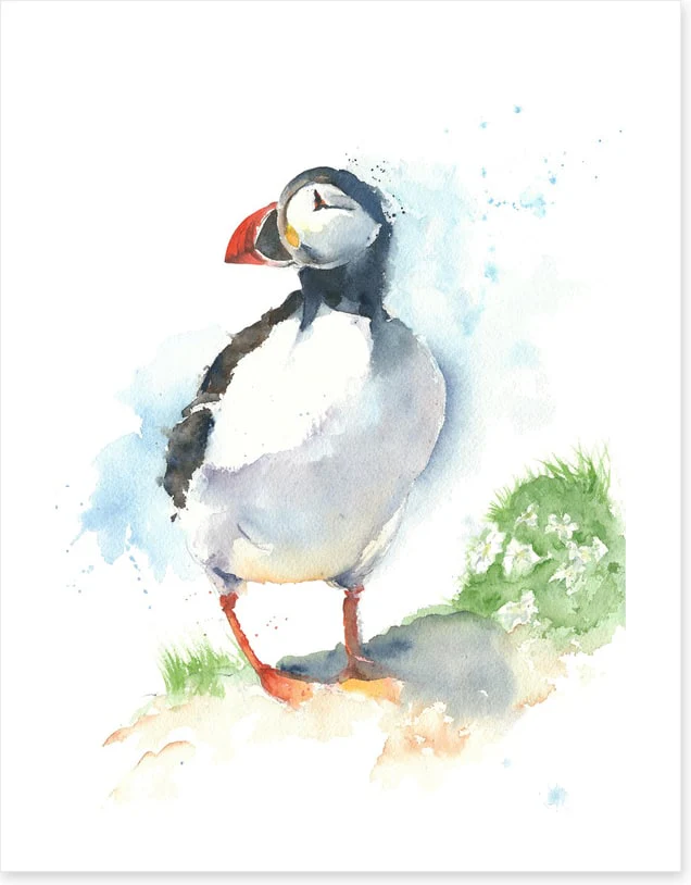 Little puffin - Image 2