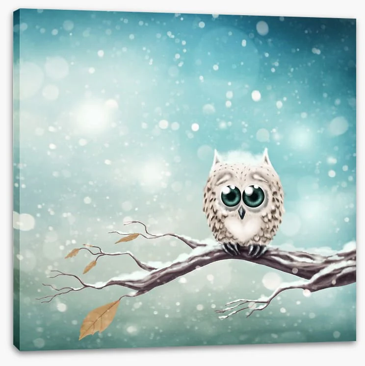 Little snow owl - Image 2