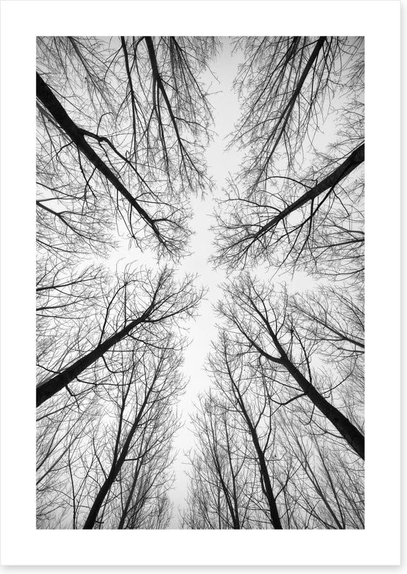 Looking up - Image 2