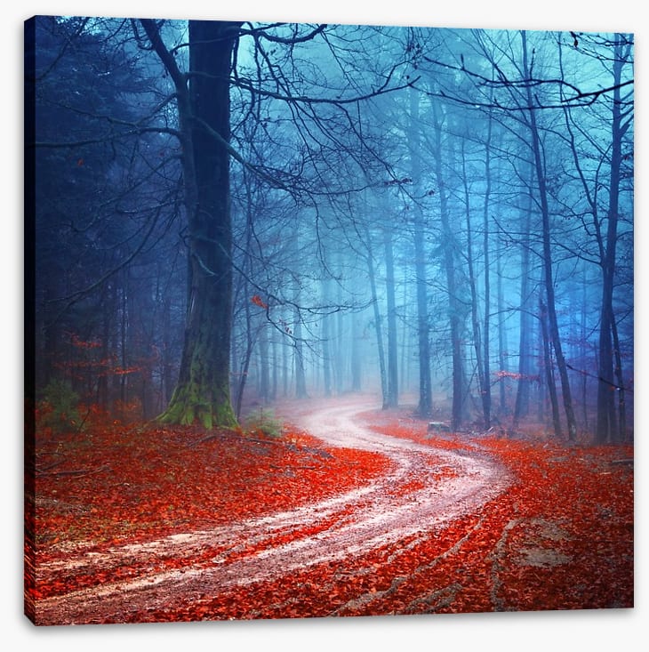 Magical forest road - Image 2