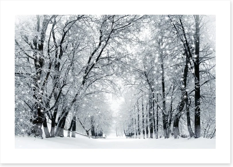 Magical snowstorm - Image 2