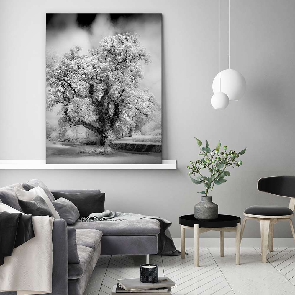 Majestic oak tree - Image 3