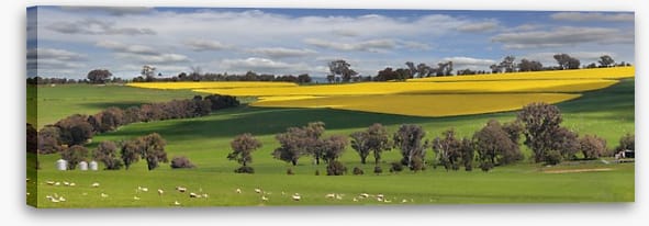 Meadows - Image 2