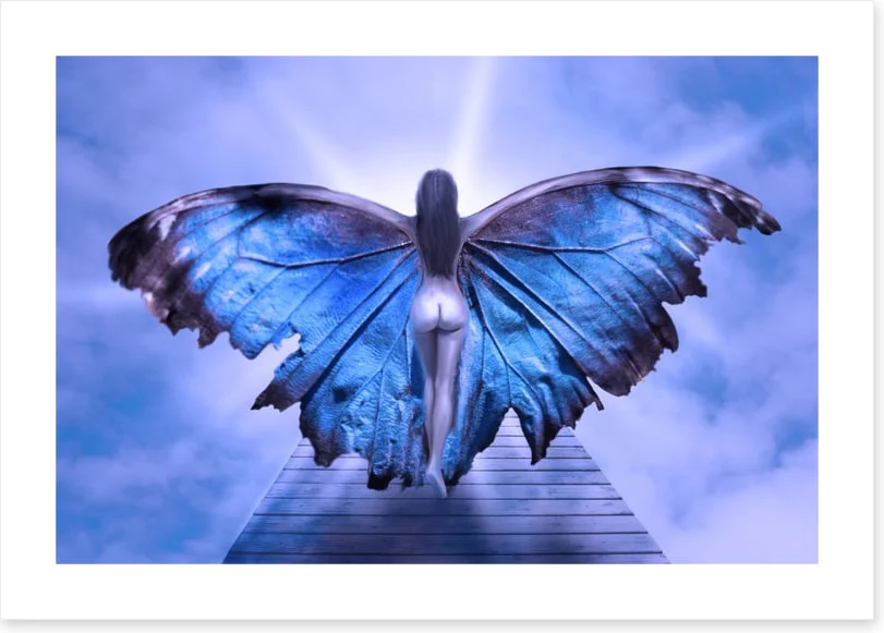 Metamorphosis - Image 2
