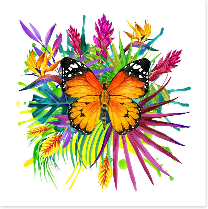 Midsummer monarch - Image 2