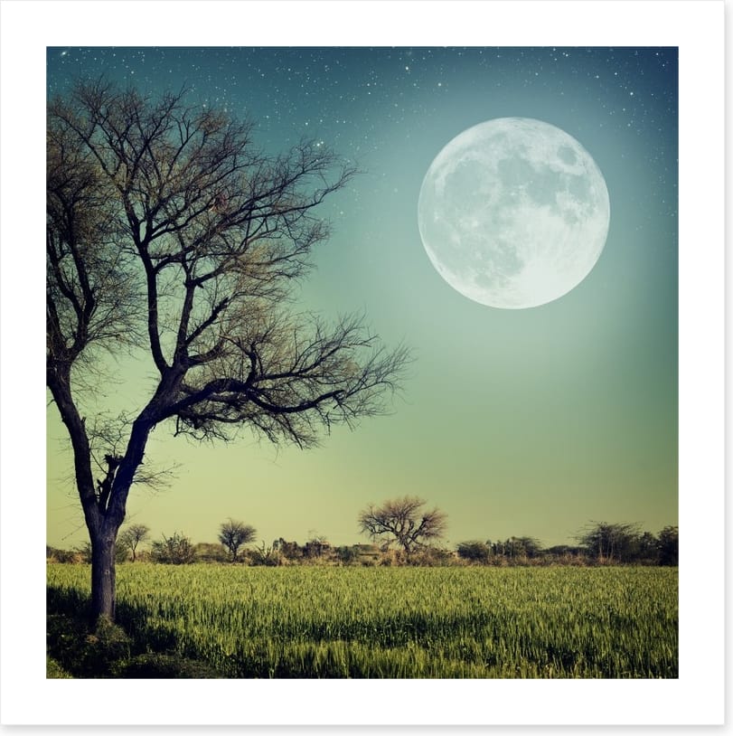Moon glow - Image 2