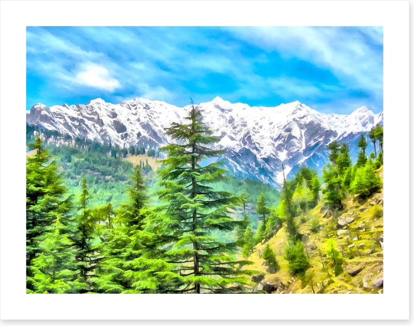 Mountainside pine - Image 2