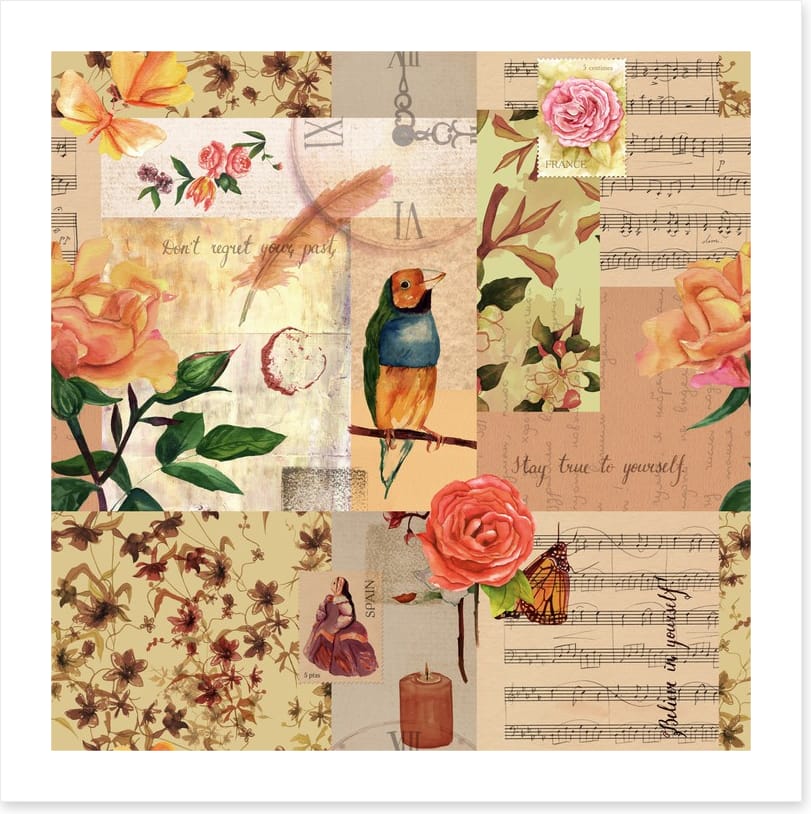 Music and birds - Image 2